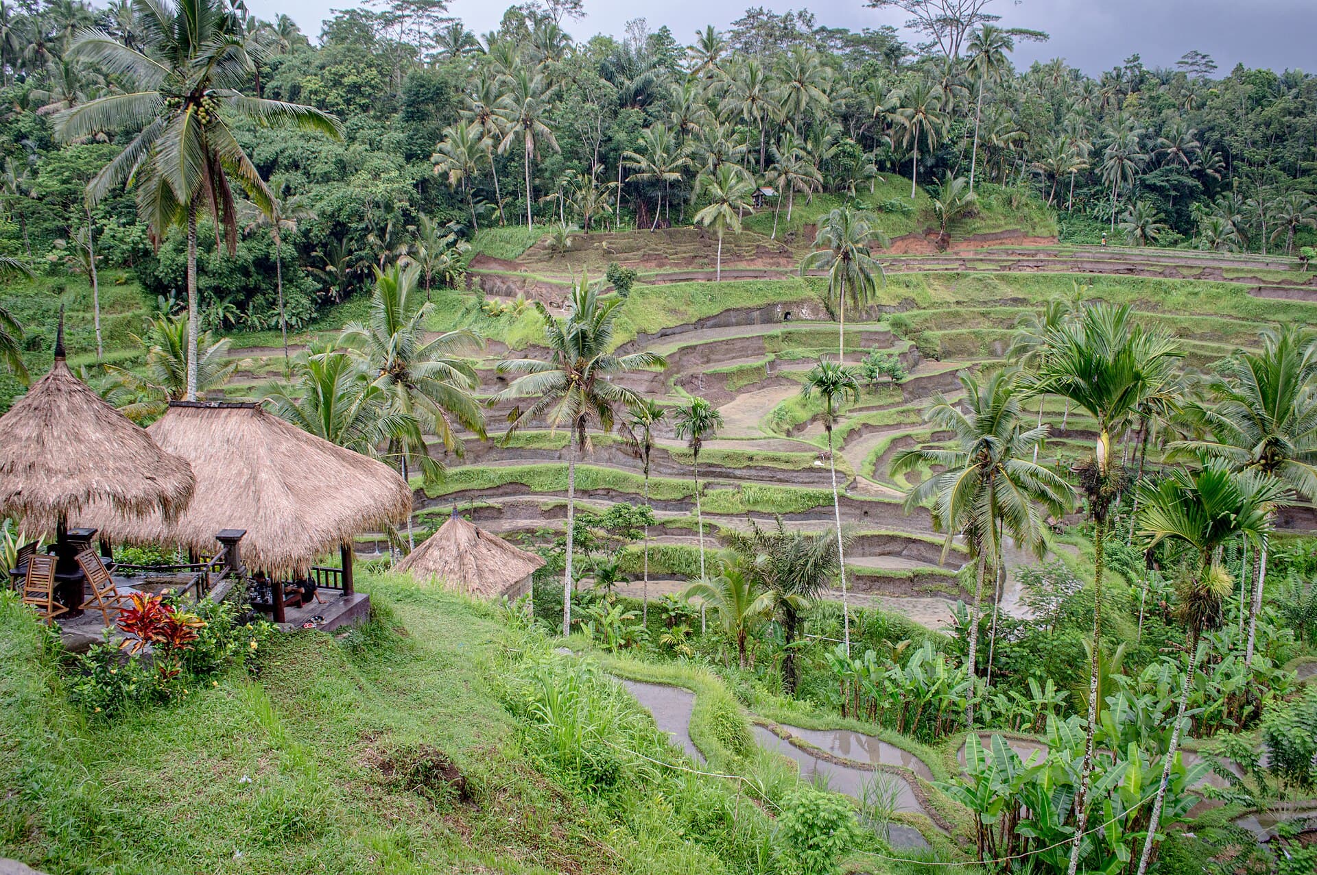 Bali — yashil orol
